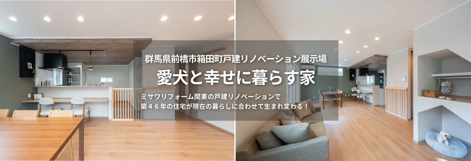 群馬県前橋市箱田町戸建リノベーション展示場「愛犬と幸せに暮らす家」|ミサワリフォーム関東