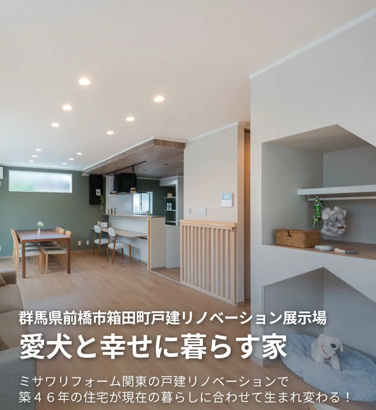 群馬県前橋市箱田町戸建リノベーション展示場「愛犬と幸せに暮らす家」|ミサワリフォーム関東