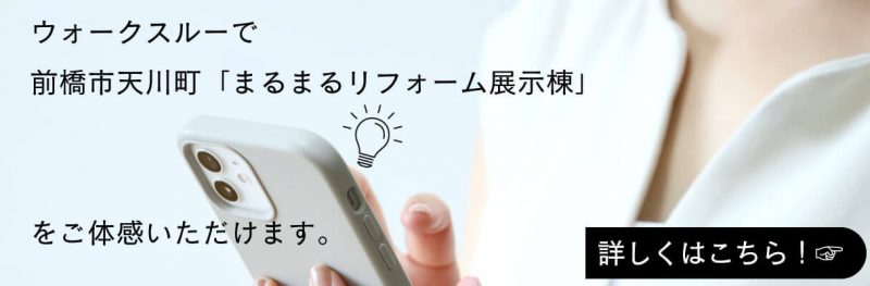 前橋市天川町ウォークスルー